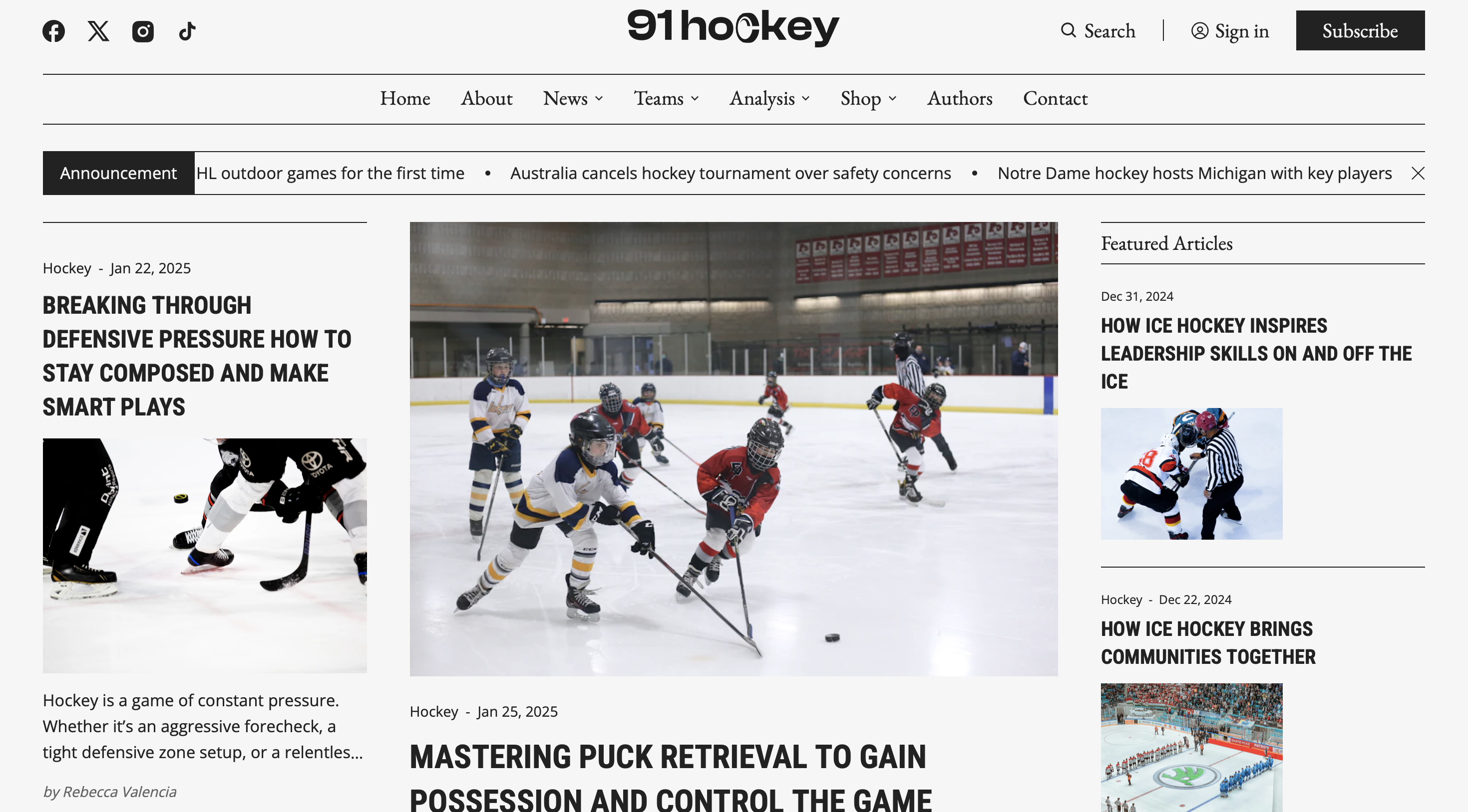 91 Hockey Platform